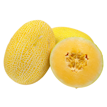 DƯA LƯỚI VÀNG DÀI