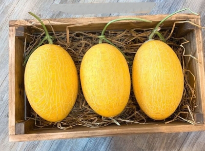 thu-hoach-va-kiem-dinh-chat-luong