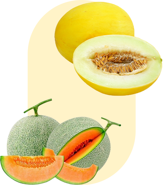 Nông Nghiệp Xanh B5