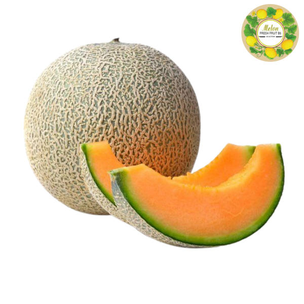 DƯA LƯỚI ĐẾ MẬT