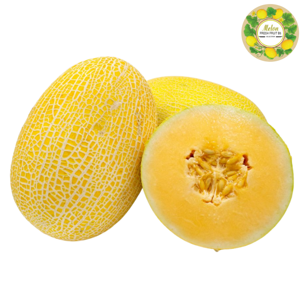 DƯA LƯỚI VÀNG DÀI