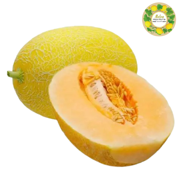 DƯA LƯỚI VÀNG DÀI